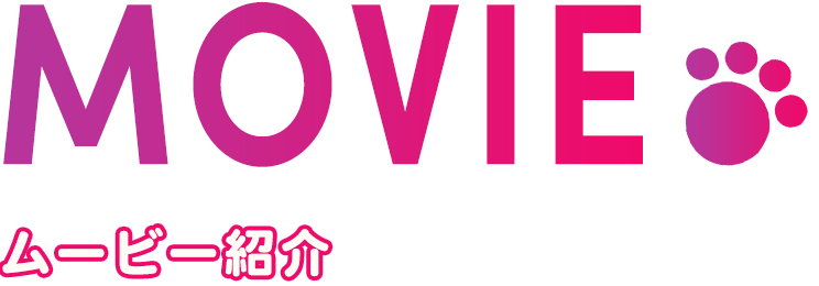 ムービー紹介